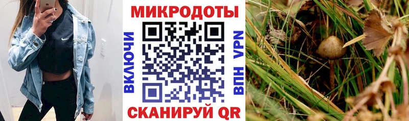 hydra зеркало  Реж  Псилоцибиновые грибы Psilocybine cubensis  продажа наркотиков 